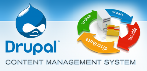 drupal_cms_development